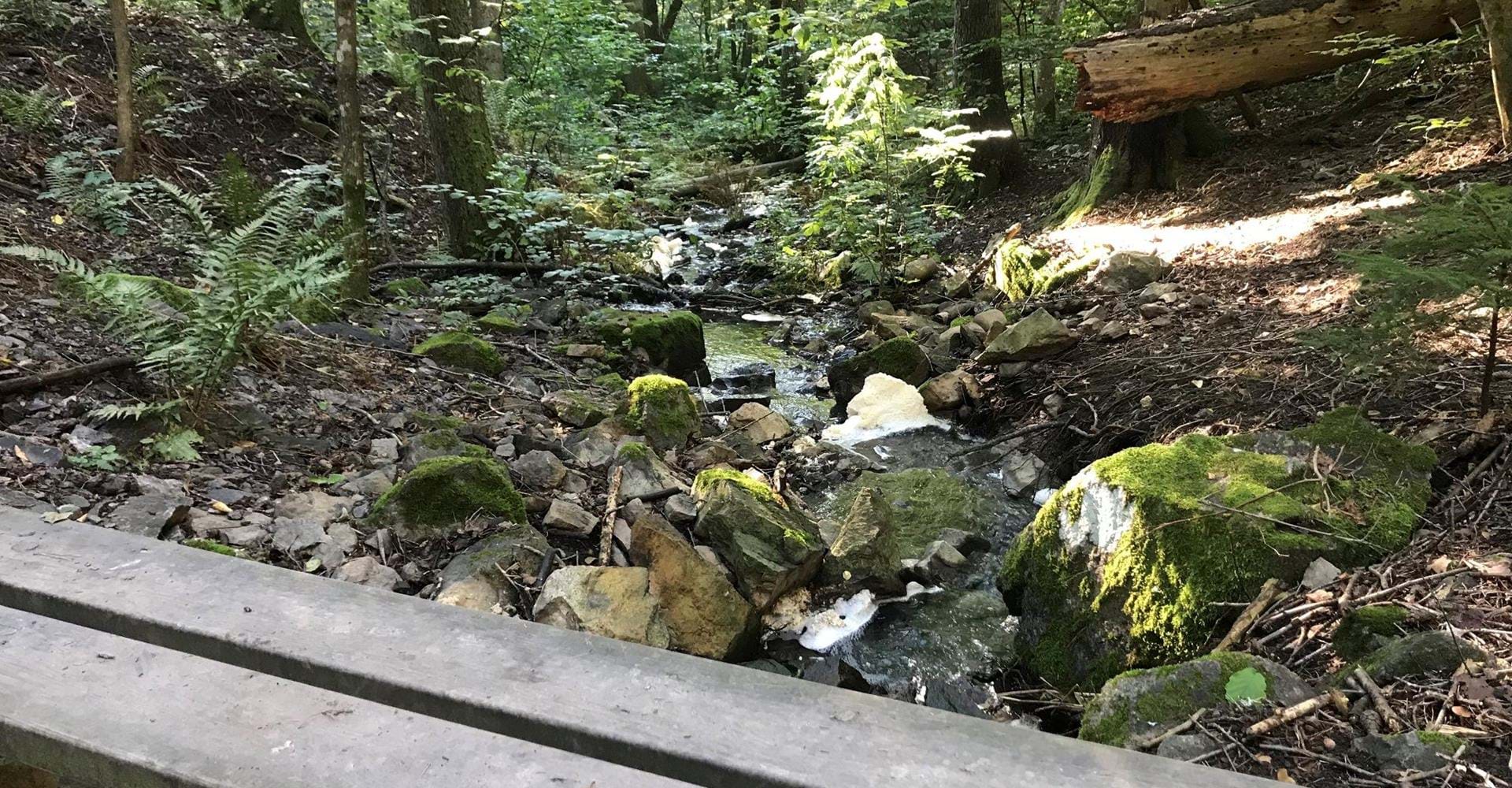 Bäck vid Bobergsleden Söderköping