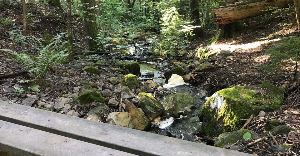 Bäck vid Bobergsleden Söderköping