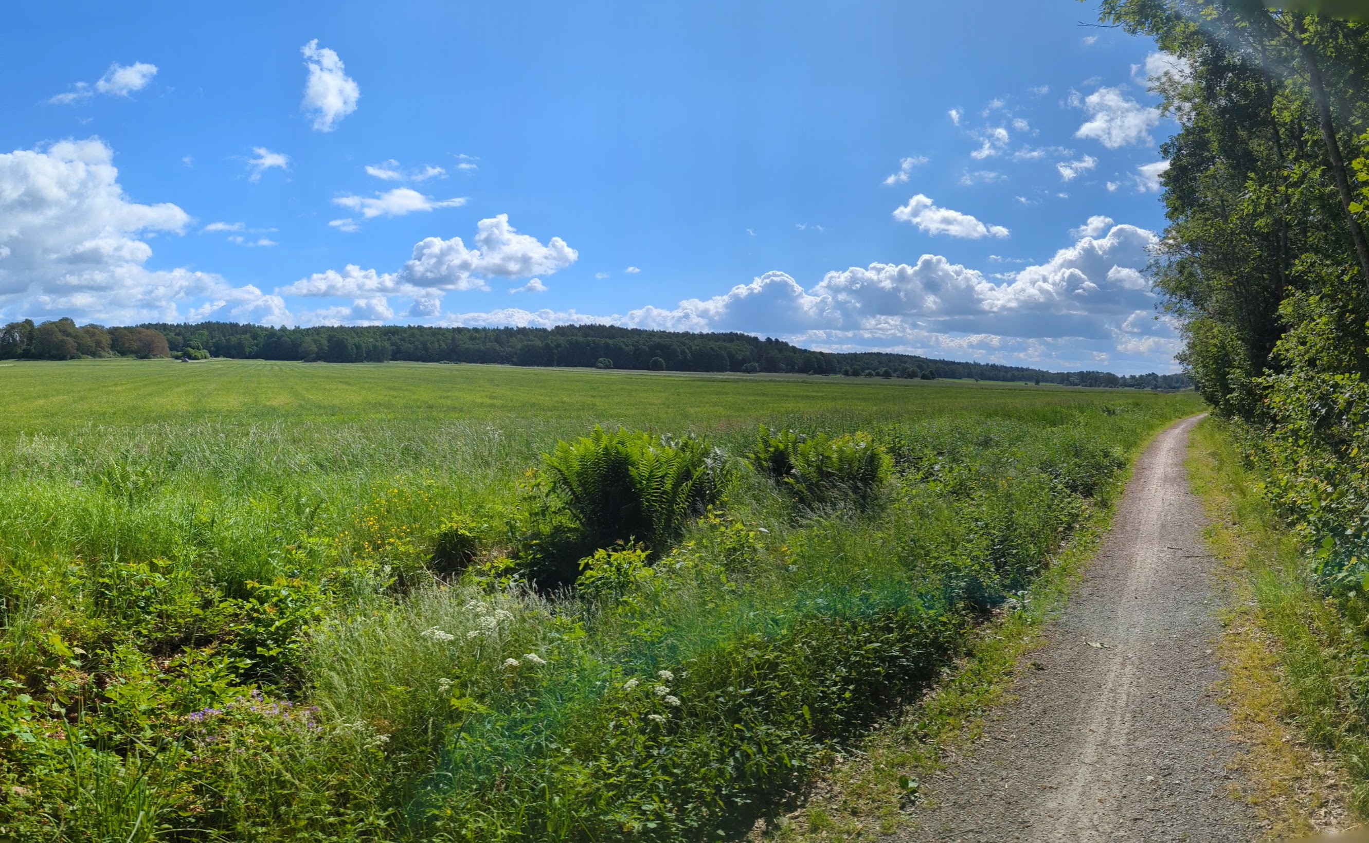 Björnöbron-Gäddeholm, Västerås