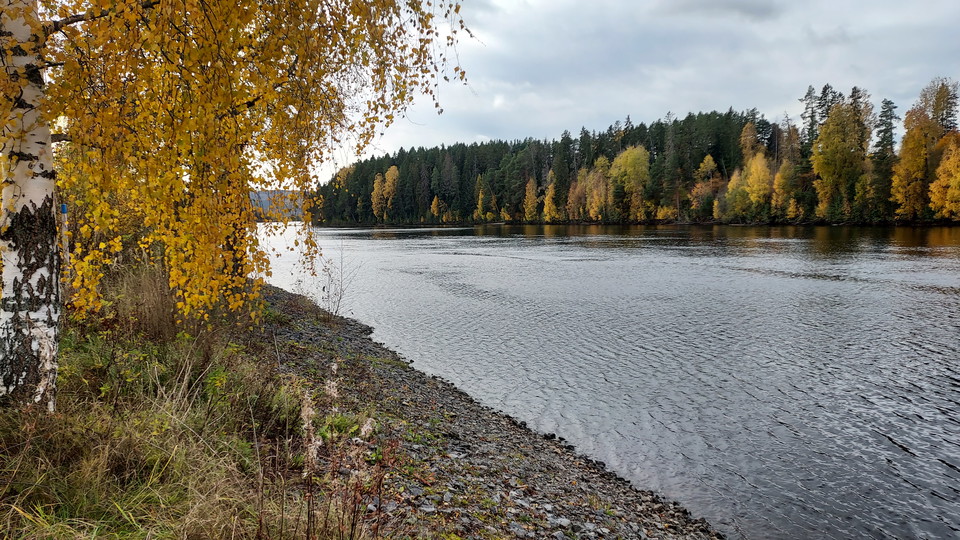 Ljusnan, Kyrköns naturreservat syns på andra sidan vattnet. 