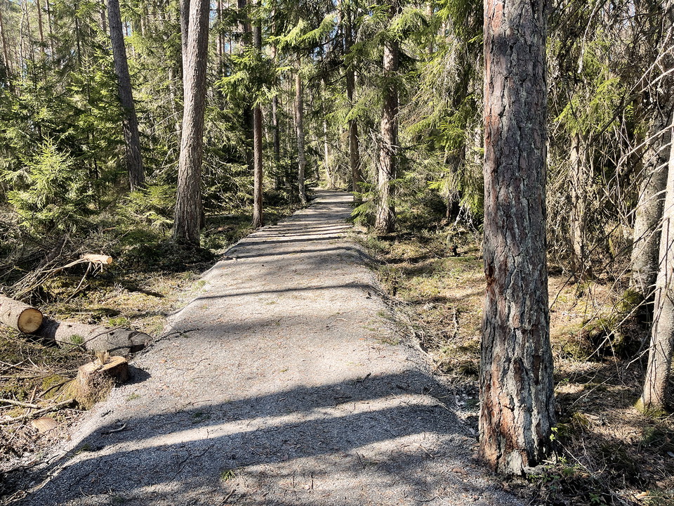 En cirka en meter bred grusad stig genom skog.