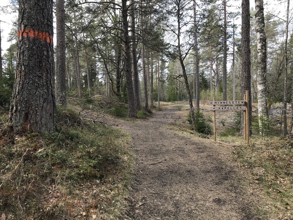Ledskyltning och orangea markeringar leder besökaren rätt. 