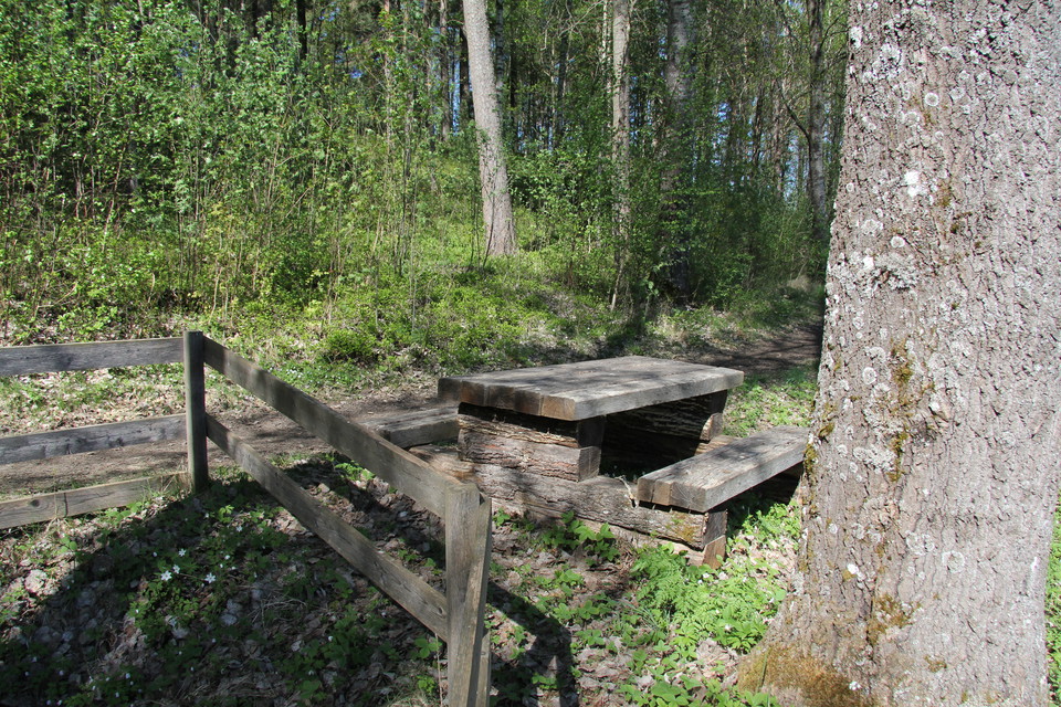 Rastplats vid Jungfrukällan med bord och bänkar.