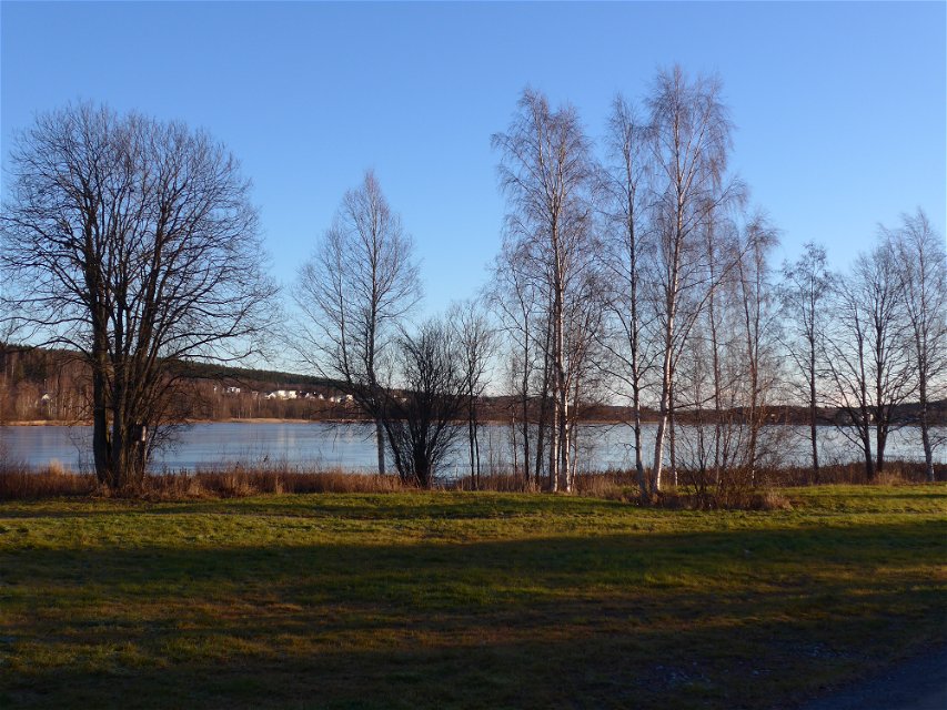 Utsikt över sjön. Foto: Olle Jonsson