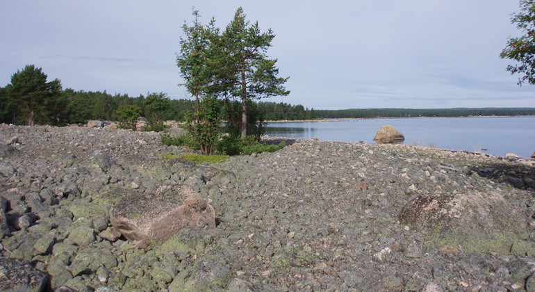 Klapperstensfälten i Gnarpskatens naturreservat är spår av inlandsisen.