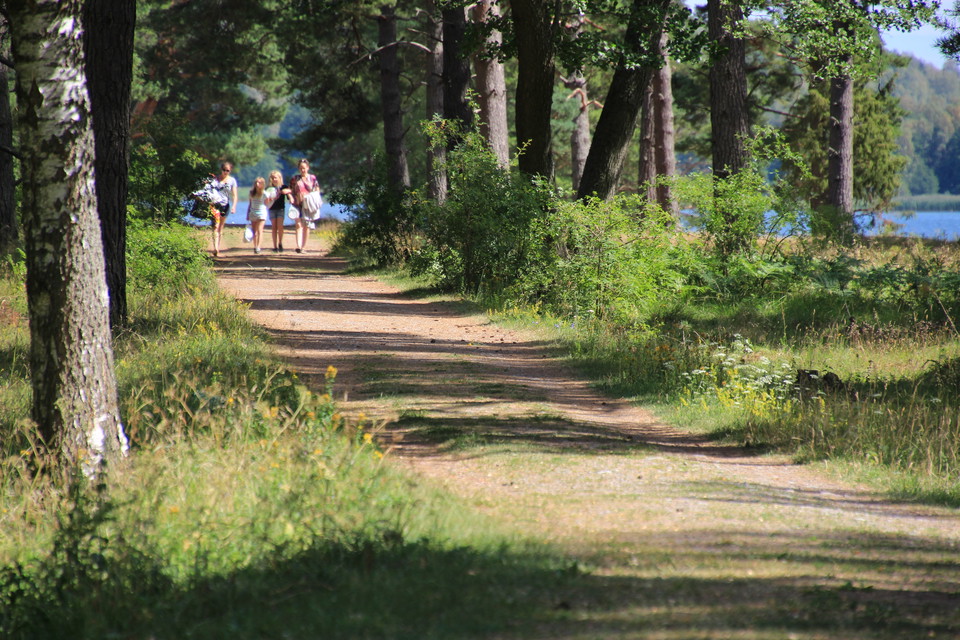 De gamla hårdgjorda vägarna leder dig in till östra och södra stranden.
