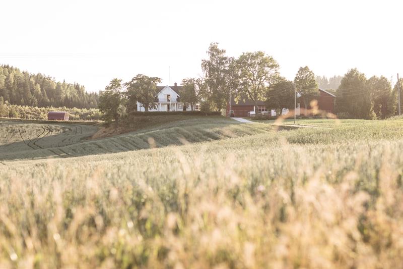 Taraldrud Gård - Gårdsutsalg