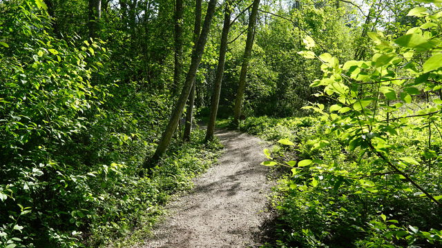 Friluftsliv på recept - Dyket röd