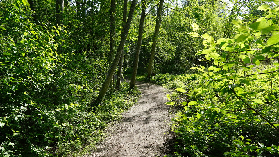 Promenadstråk vid Döviksberget