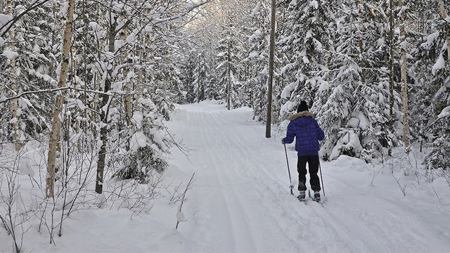 Skidspår i Runby