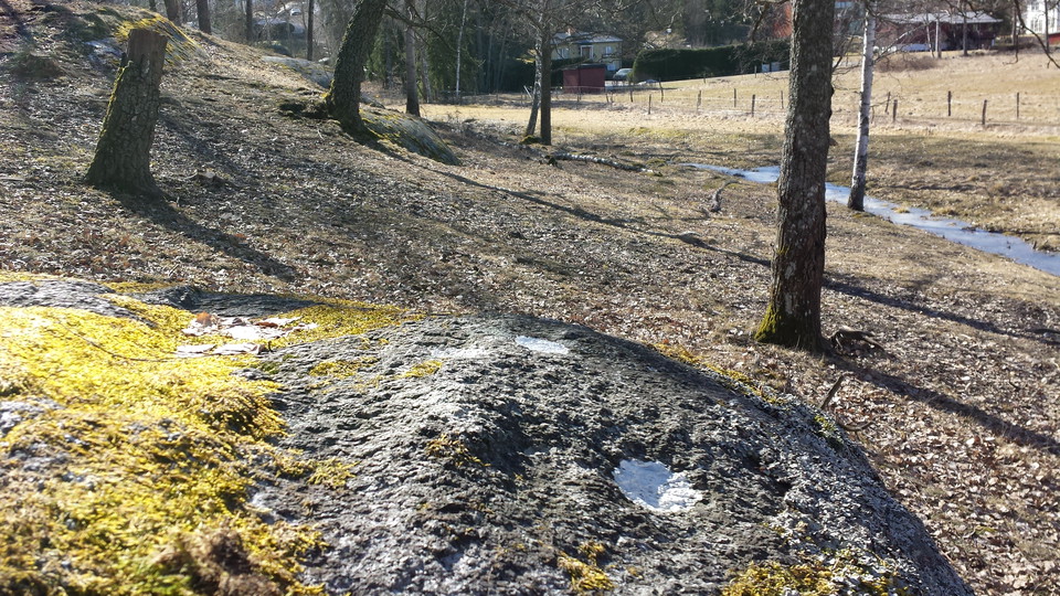 Skålgropar vid Skälby gravfält