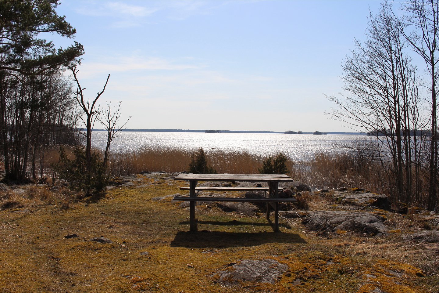 Ett bänkbord står på en glänta med utsikt över vass och en sjö. Runtom rastplatsen växer träd och det ligger en del större stenar på marken.