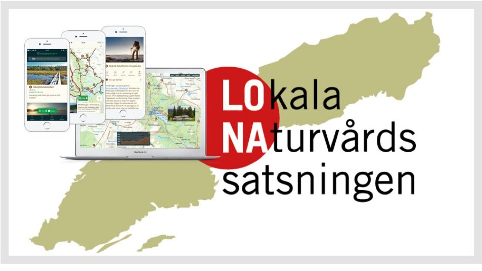 Nu finns det LONA-pengar till digital friluftsguide igen - här är mallen som gör det enkelt att söka