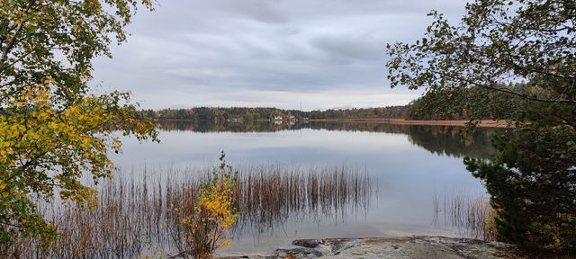 Lillsjön-Örnässjöns naturreservat