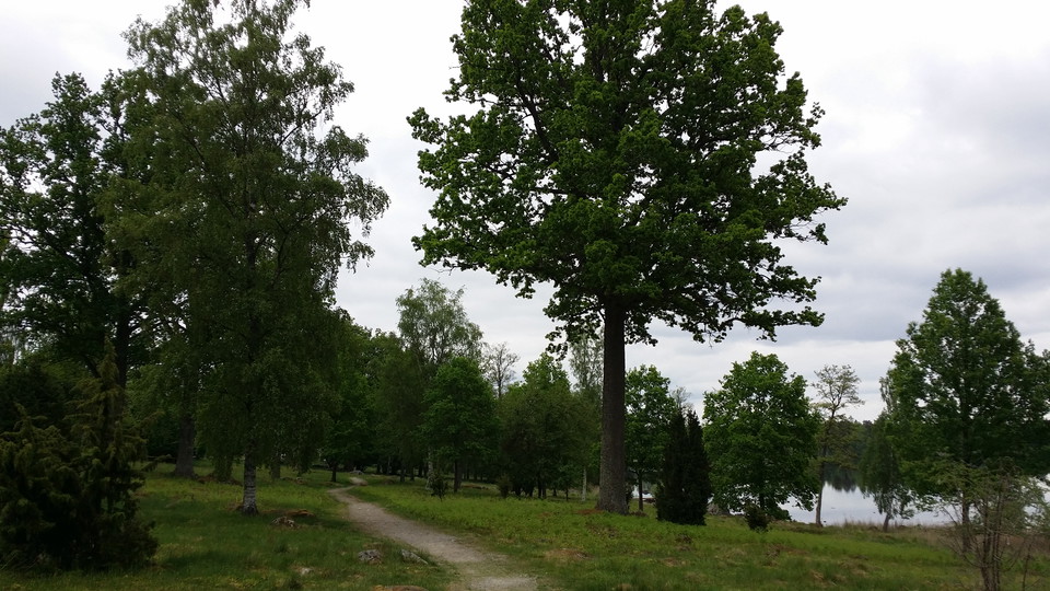 Strandpromenaden ansluter