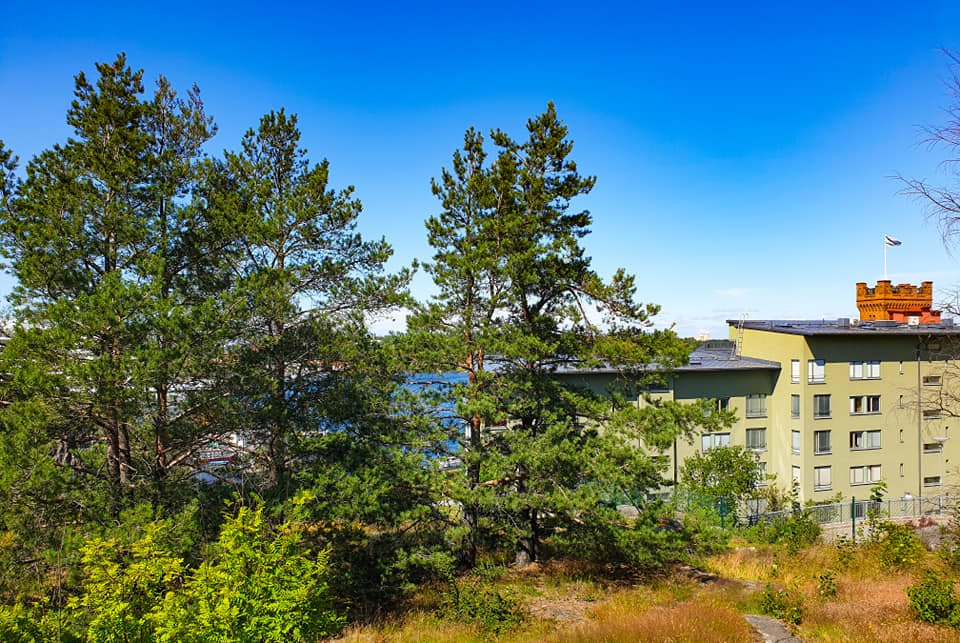 Tallar och utsikten mot Saltsjöqvarn från Bageriberget