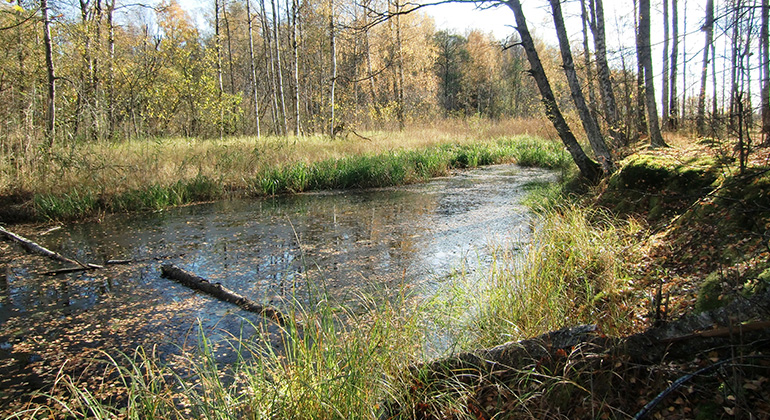 Kaplansholmen, Naturreservat