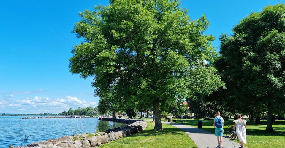 Sista delen i Vadstena följer leden en gångväg utmed Vättern.
Etapp: Borghamn-Vadstena.
Vadstena.