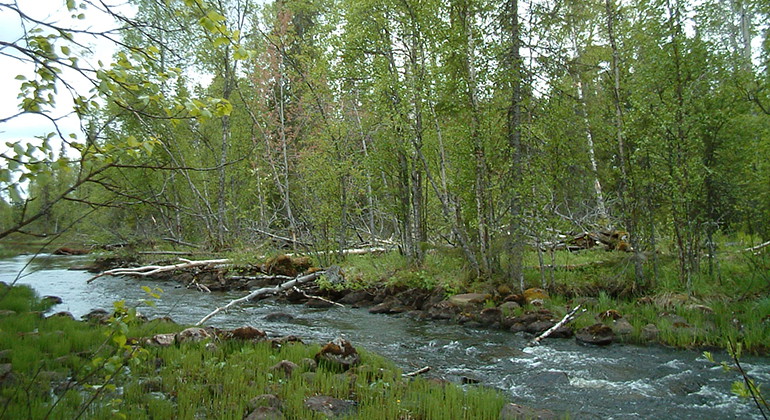 Kaltisbäcken.
