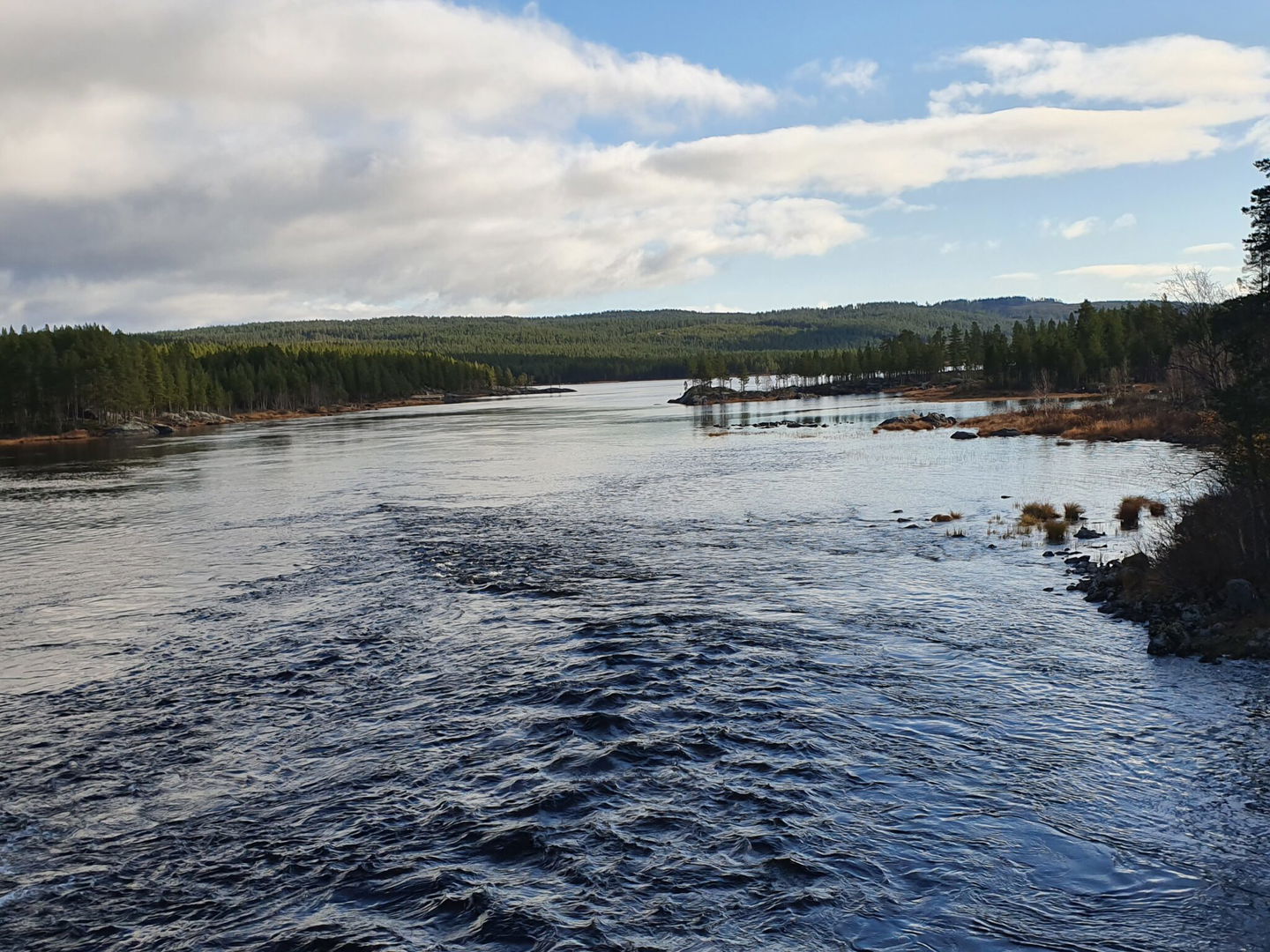 Strömmande vatten i Ljungan