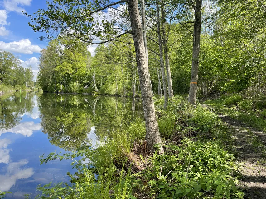 Nära Kinda Kanals mynning i Stora Rängen