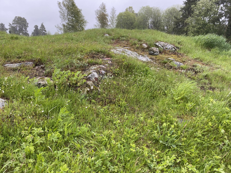 Strömsbrokrysset, örtbacke, bilden visar en stenig äng med träd i bakgrunden.