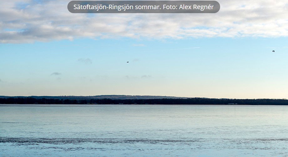 Östra Bosjöklosterhalvön, Naturreservat