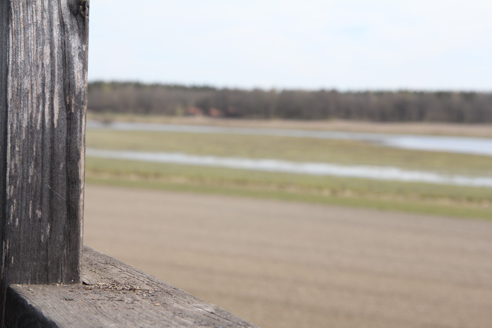 Stolpe till utkikstornet i närbild. Vy över strandängarna i bakgrunden.