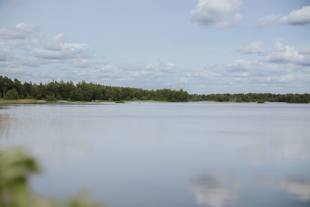 Nature around lake Möckeln