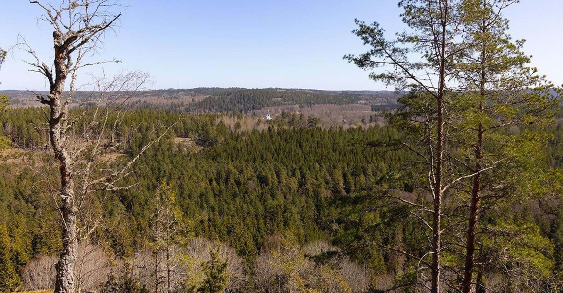 Utsikt från Korpberget.
Etapp: Norra Vi runt.
Ydre.