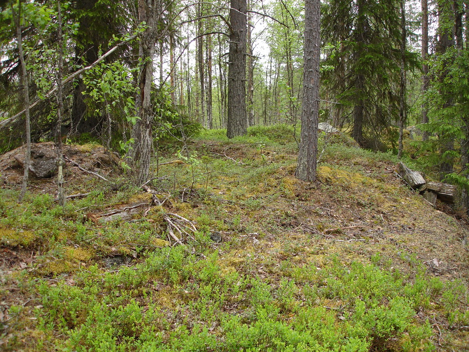 Husgrund eldpallkoja, foto: Gudrun Norstedt