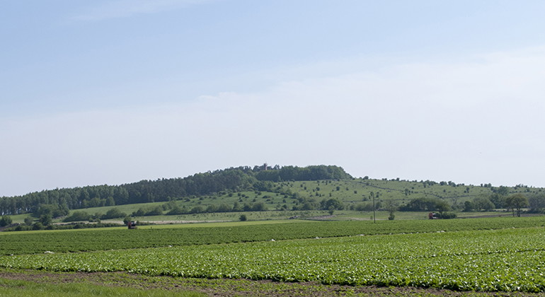 Vy mot Fjälkinge backe.