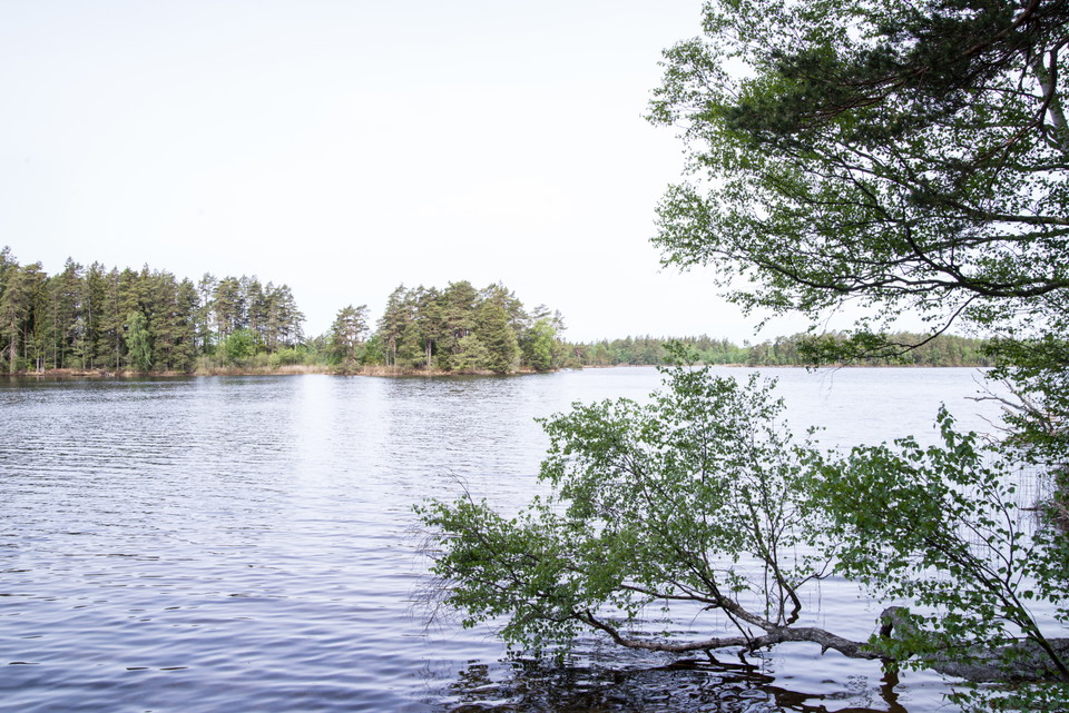 Fotograf: Tobias Ivarsson