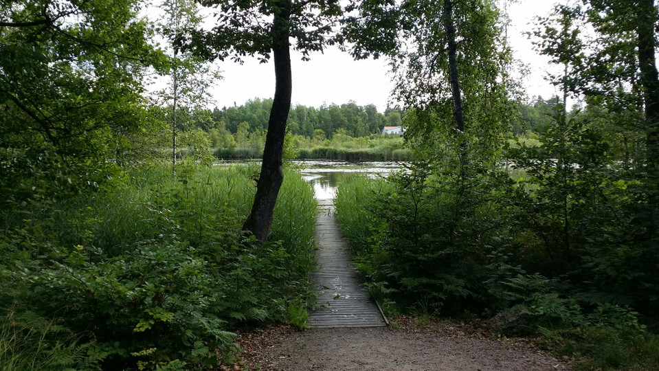 Brygga vid Skirviken