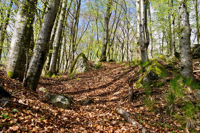 Drakskatten i Sannaböke - Sagobygden