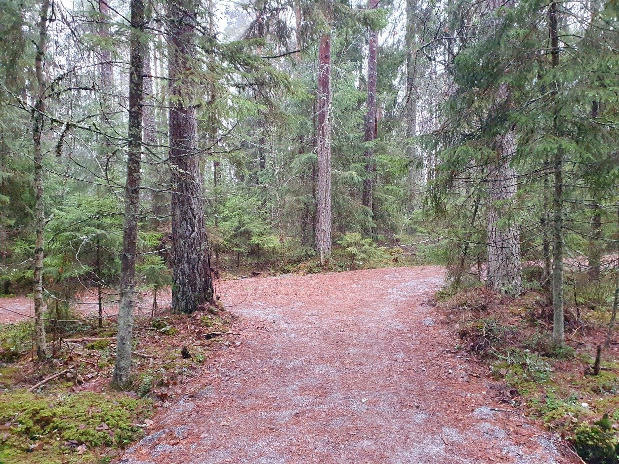 Skogsstigen, Gnien — Naturkartan