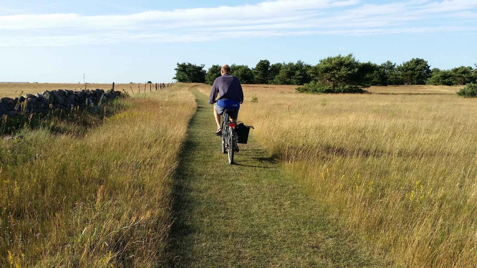 En man cyklar på en klippt stig över gräsmark.
