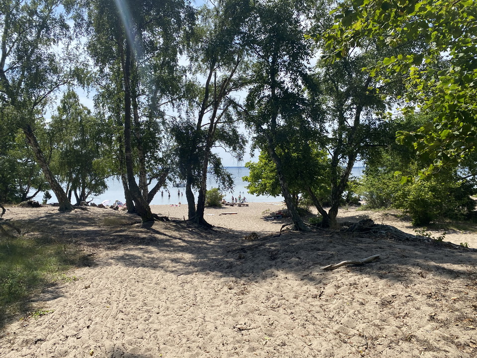 Översikt från bakre delen av stranden