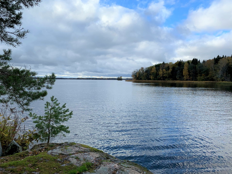 Rumpuddviken i Hasselhorns naturreservat. 