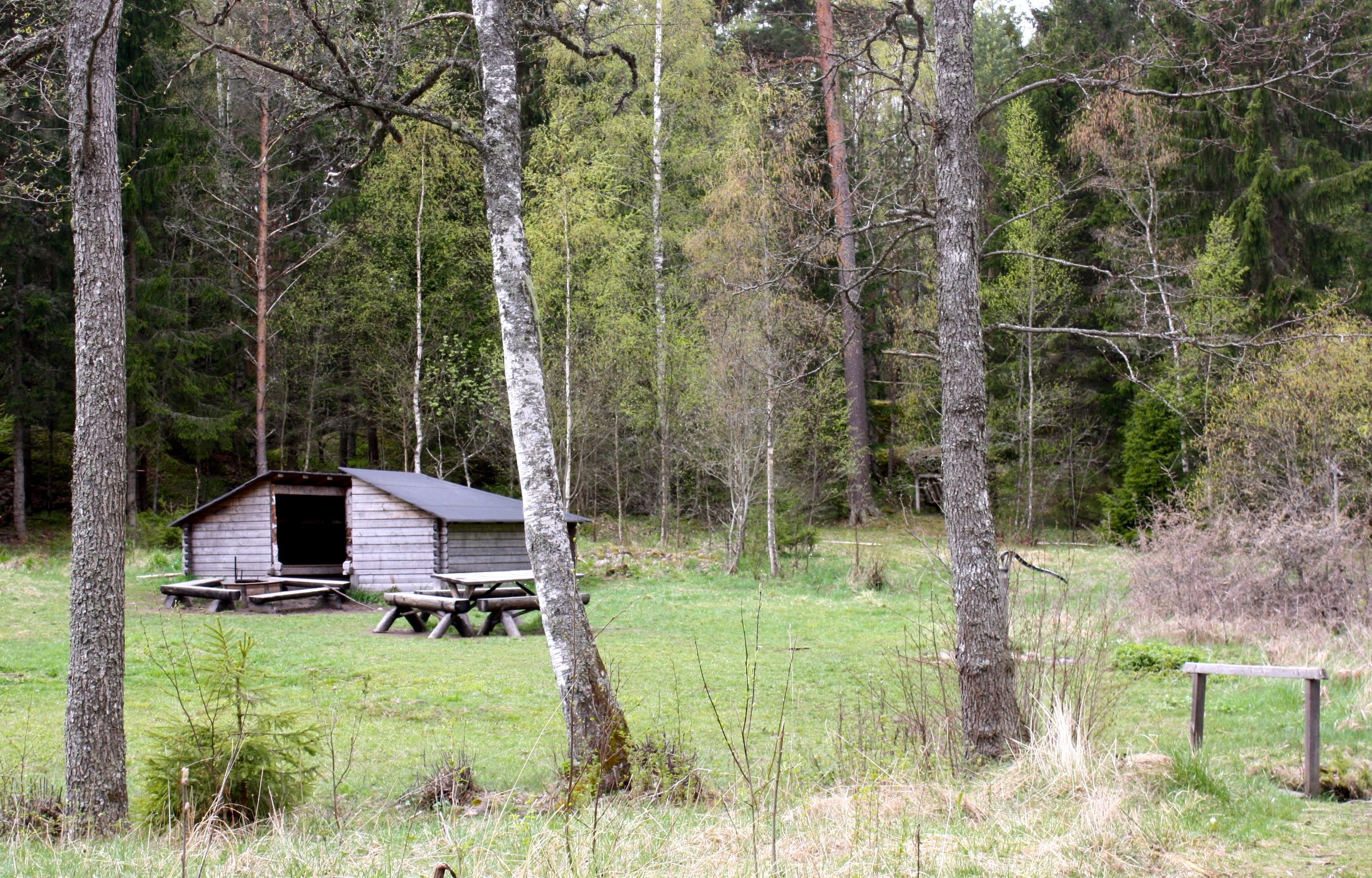 På en öppen gräsyta omgiven av skog finns ett vindskydd, grillplats och ett bänkbord. 
