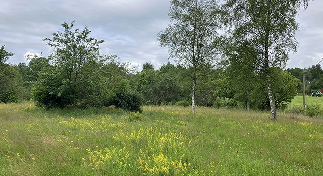 Warragården, Naturreservat