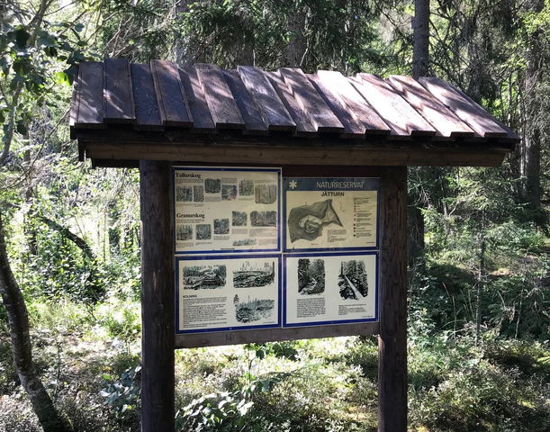 Jätturn naturreservat