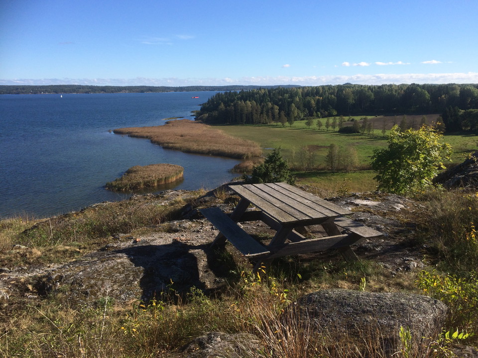 Fikabänk med hisnande utsikt över fjärden och de betade strandängarna nedanför.