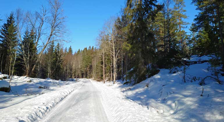 Svartkärrets naturreservat i Norrtälje. 