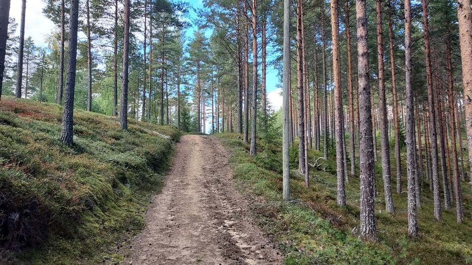 Elljusspåret i Valla, Färila