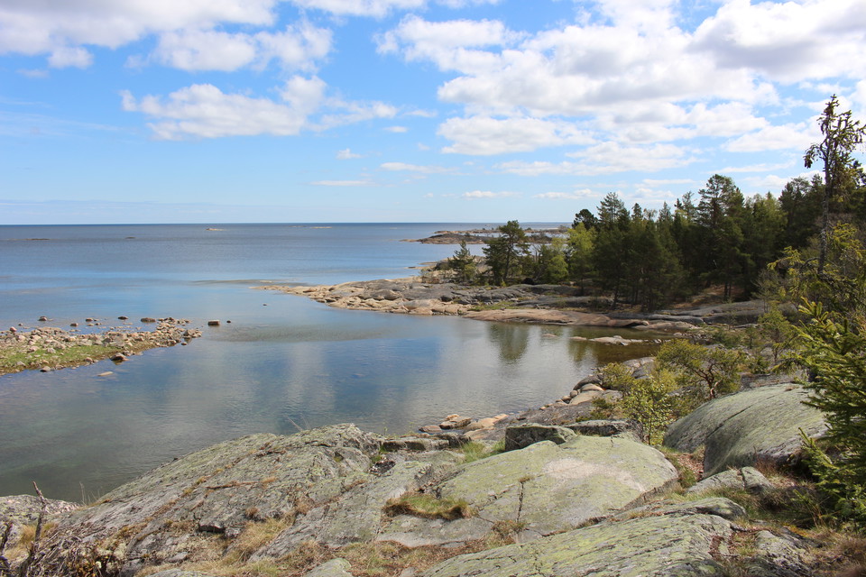 En klippig, ojämn strandlinje vid havet. Vid klipporna finns det skog.
