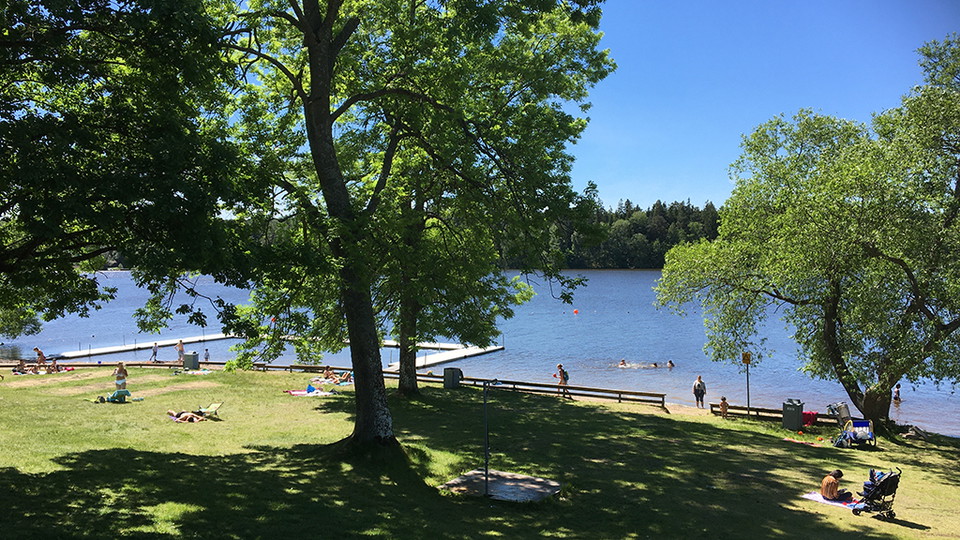 En badplats med stora träd och badbryggor.