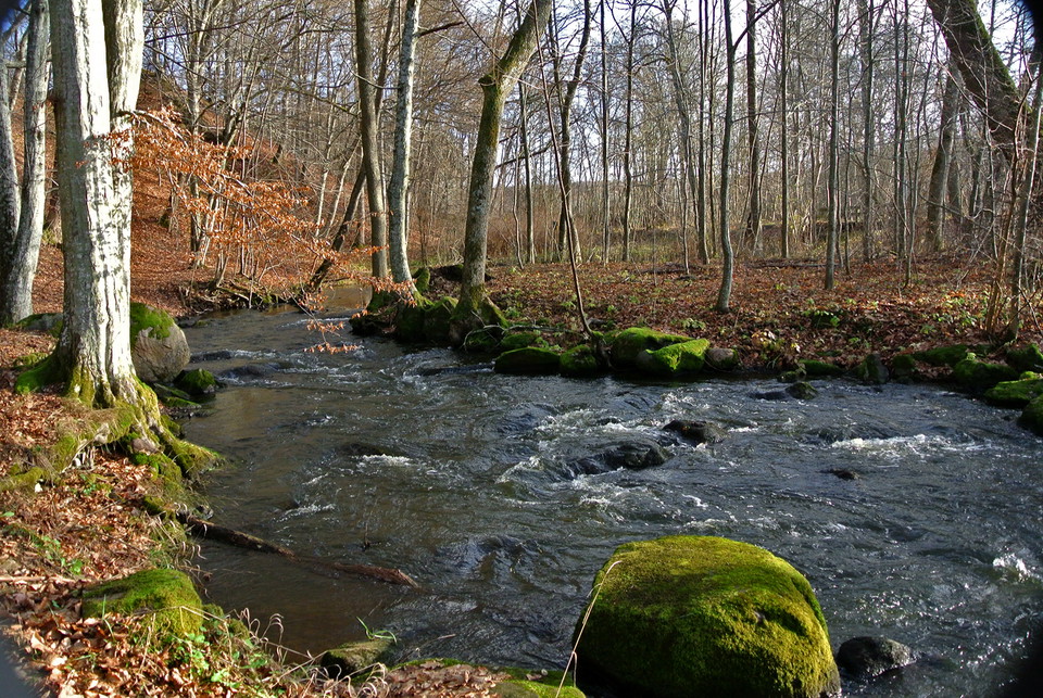 Djupadal, Klippans kommun