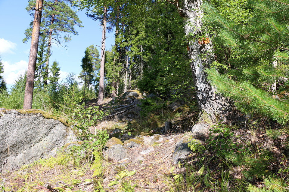 Stig som klättrar brant. Björk med orange ledmarkering.