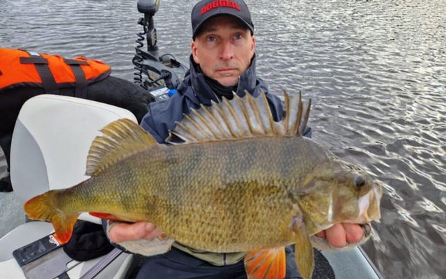 Johans fiskeguidning i Kalmarsund